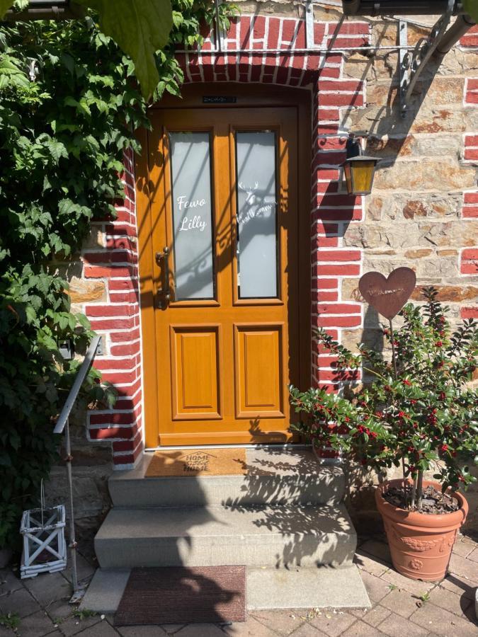 Ferienwohnung Lilly Eitelborn Экстерьер фото